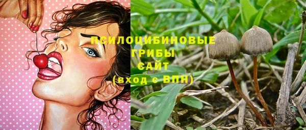 PSILOCYBIN Михайловка