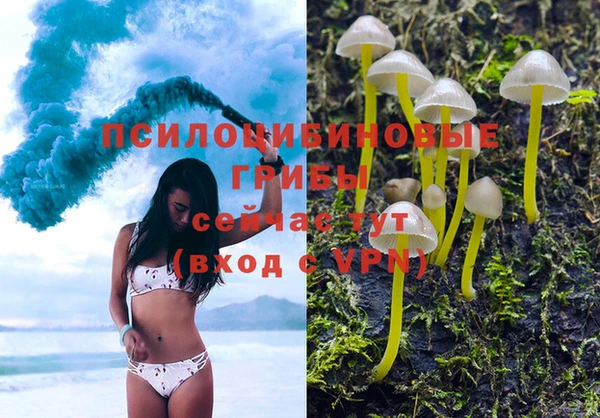 метадон Михайлов