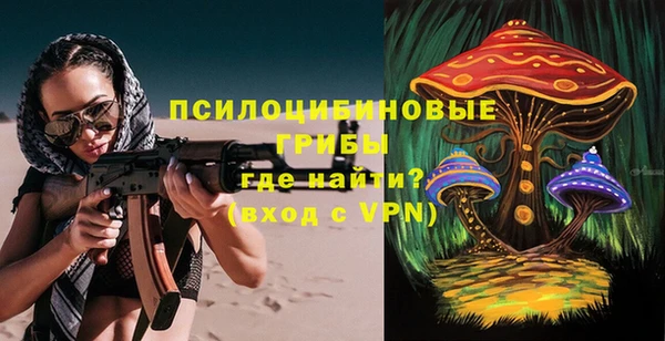 PSILOCYBIN Михайловка