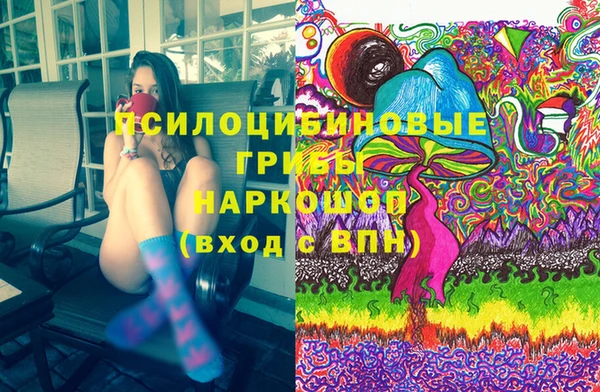 СК Михайловск