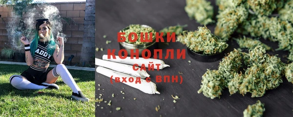 метадон Михайлов