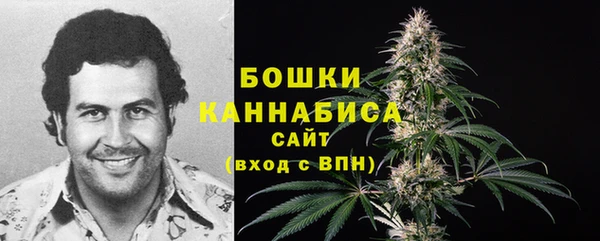PSILOCYBIN Михайловка