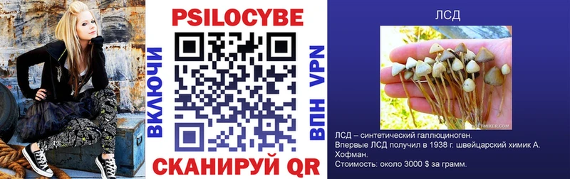 Купить  Сольвычегодск  Псилоцибиновые грибы Psilocybe 